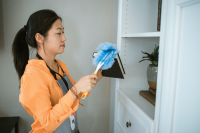 Clean the house thoroughly.