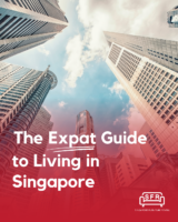 Expat Guide To Living in Singapore cover photo of buildings and high rise tower